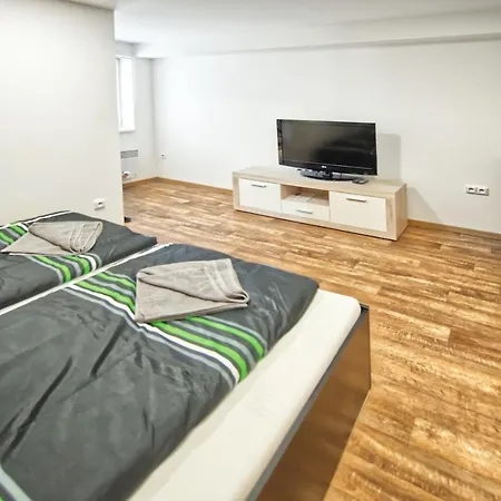 Bazen Vino Sklep U Palecku Guest house *