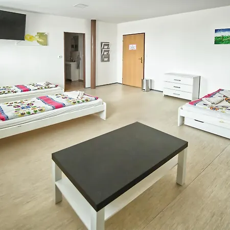 Bazen Vino Sklep U Palecku Guest house *