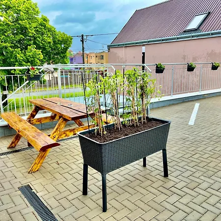 Guest house Bazen Vino Sklep U Palecku Zajeci