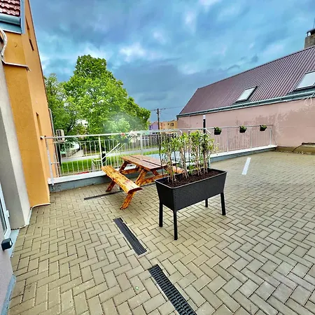 Bazen Vino Sklep U Palecku Zaječí