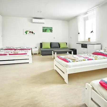 Guest house Bazen Vino Sklep U Palecku