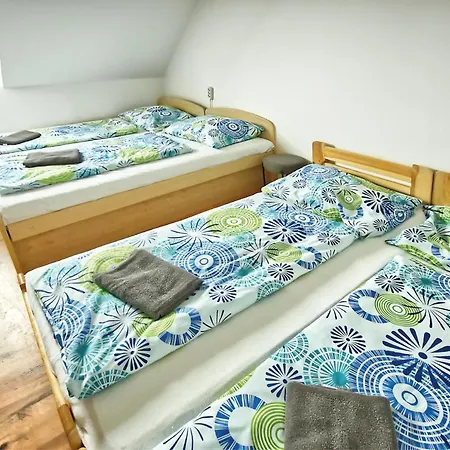 Guest house Bazen Vino Sklep U Palecku