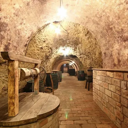 Konukevi Bazen Vino Sklep U Palecku Zaječí