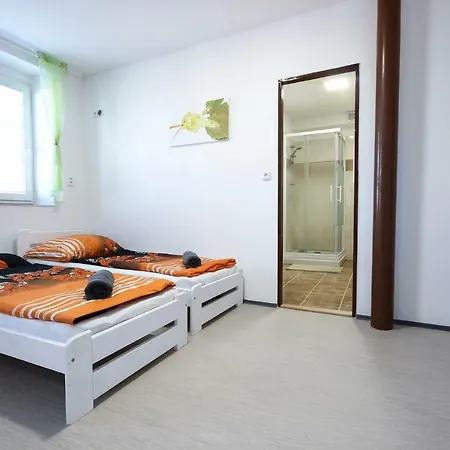 Bazen Vino Sklep U Palecku Guest house