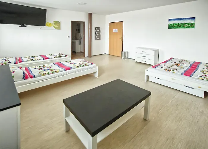 Bazén Víno Sklep U Palečků Casa de hóspedes *