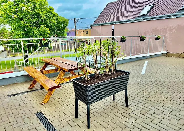 Casa de hóspedes Bazén Víno Sklep U Palečků Zaječí
