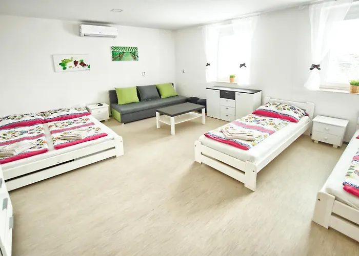 Casa de hóspedes Bazén Víno Sklep U Palečků Zaječí