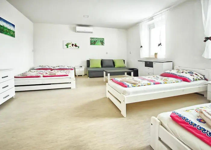 Casa de hóspedes Bazén Víno Sklep U Palečků