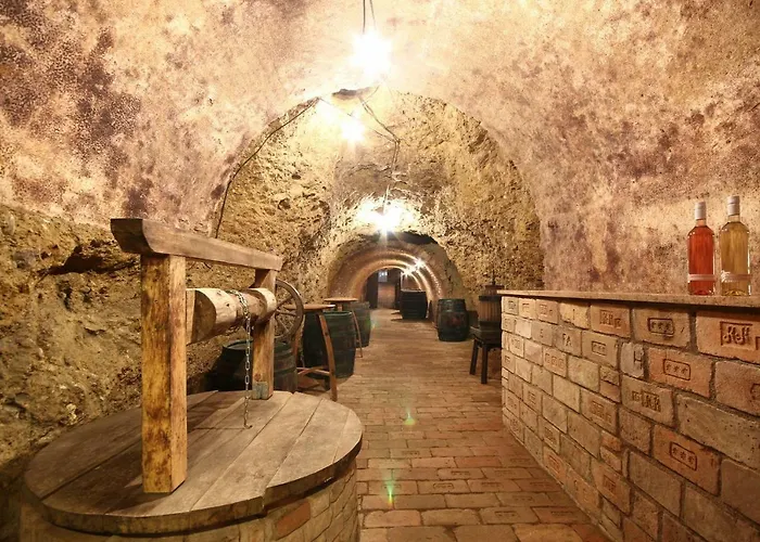 Casa de hóspedes Bazén Víno Sklep U Palečků Zaječí